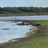 Review photo of Old Prairie Campground — Myakka River State Park by Kathy L., February 10, 2021