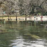 Review photo of Manatee Springs State Park Campground by Chad N., February 10, 2021