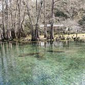 Review photo of Manatee Springs State Park Campground by Chad N., February 10, 2021