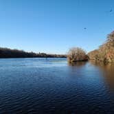 Review photo of Manatee Springs State Park Campground by Chad N., February 10, 2021