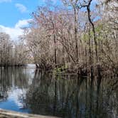 Review photo of Manatee Springs State Park Campground by Chad N., February 10, 2021