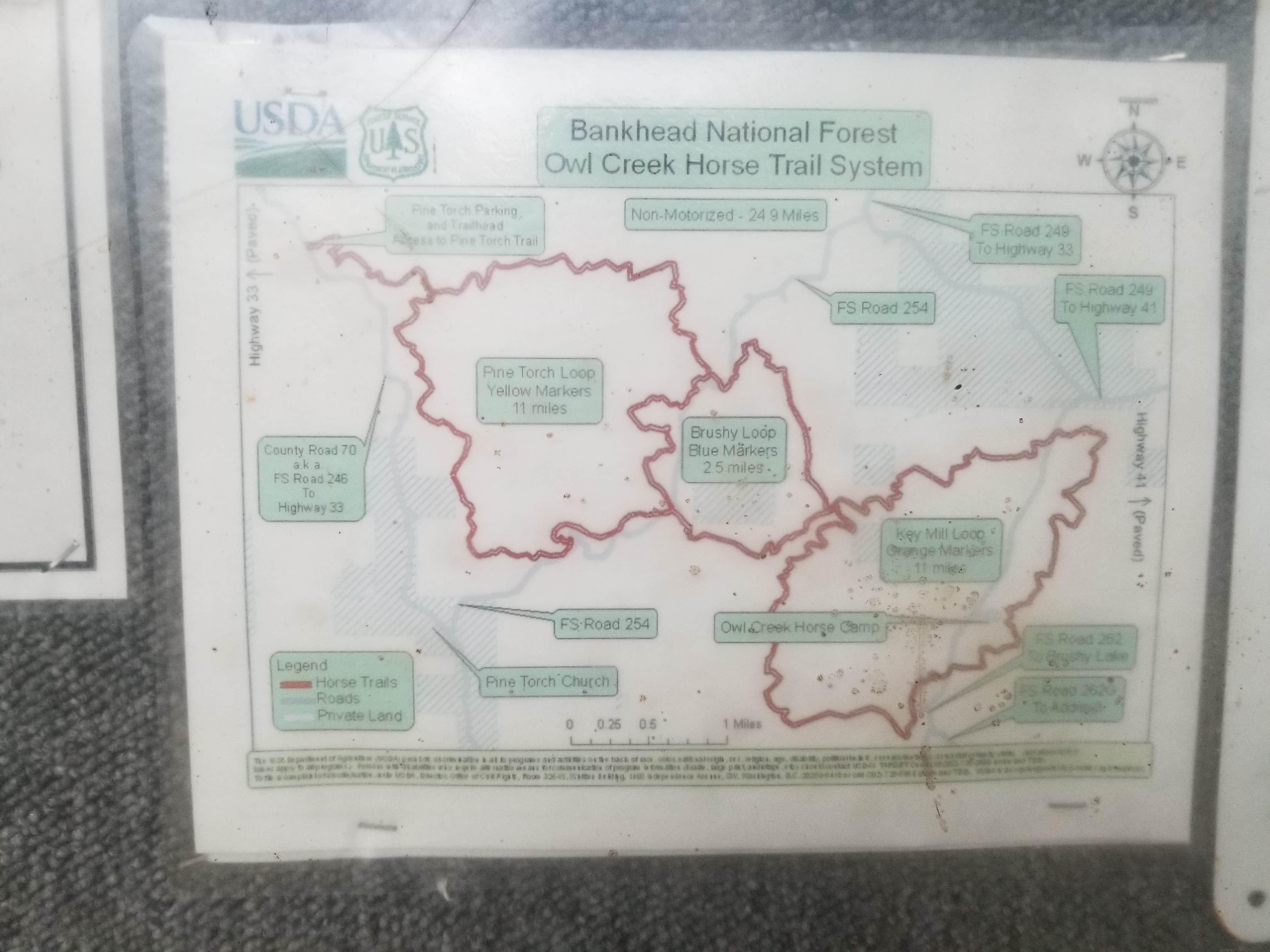 Camper-submitted photo at Owl Creek Horse Camp near Danville, AL