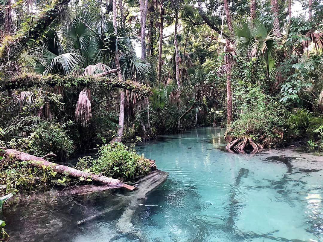 King's Landing The Dyrt