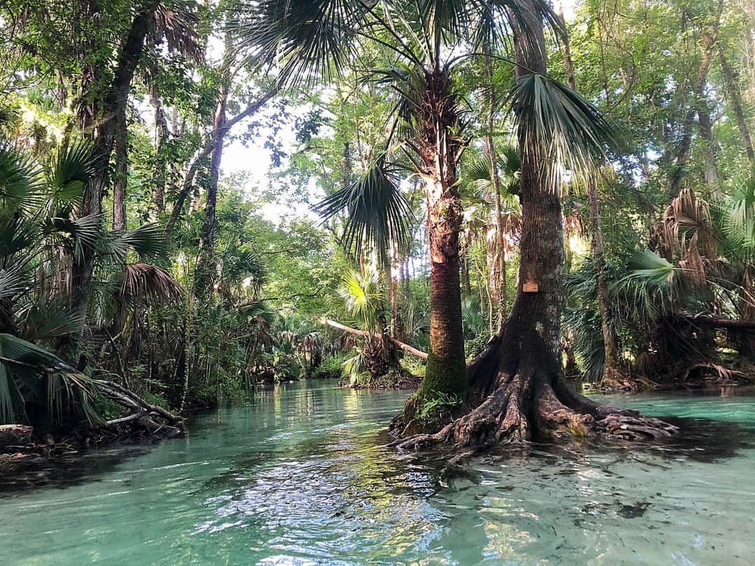 Camper-submitted photo at King's Landing near Orange City, FL