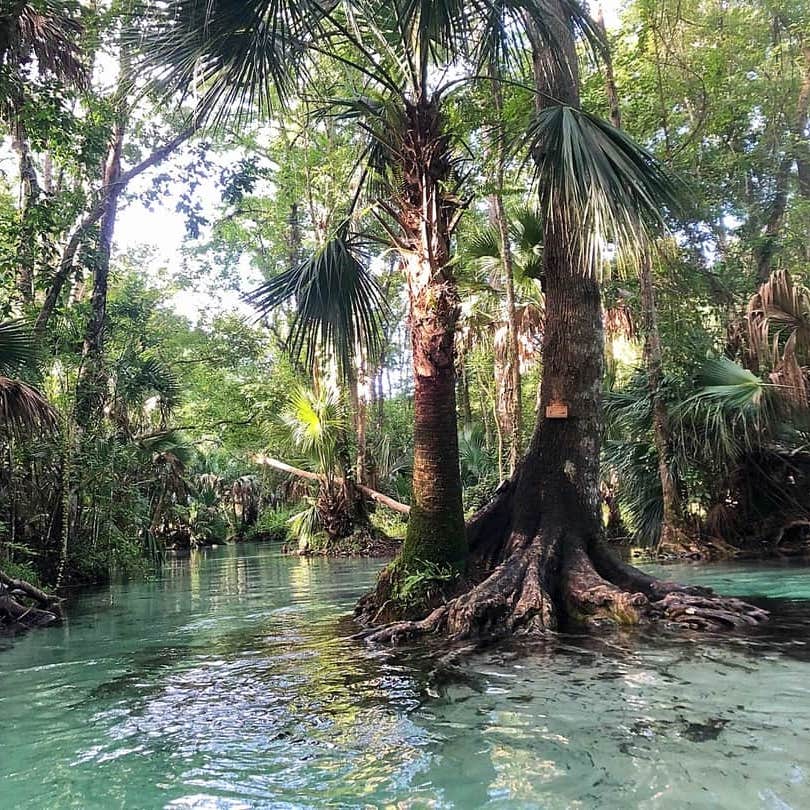 King's Landing Camping The Dyrt