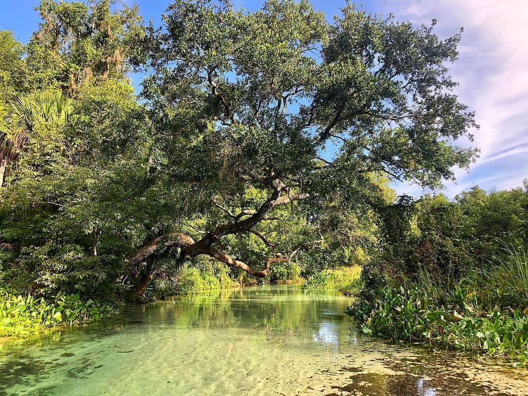 King's Landing The Dyrt