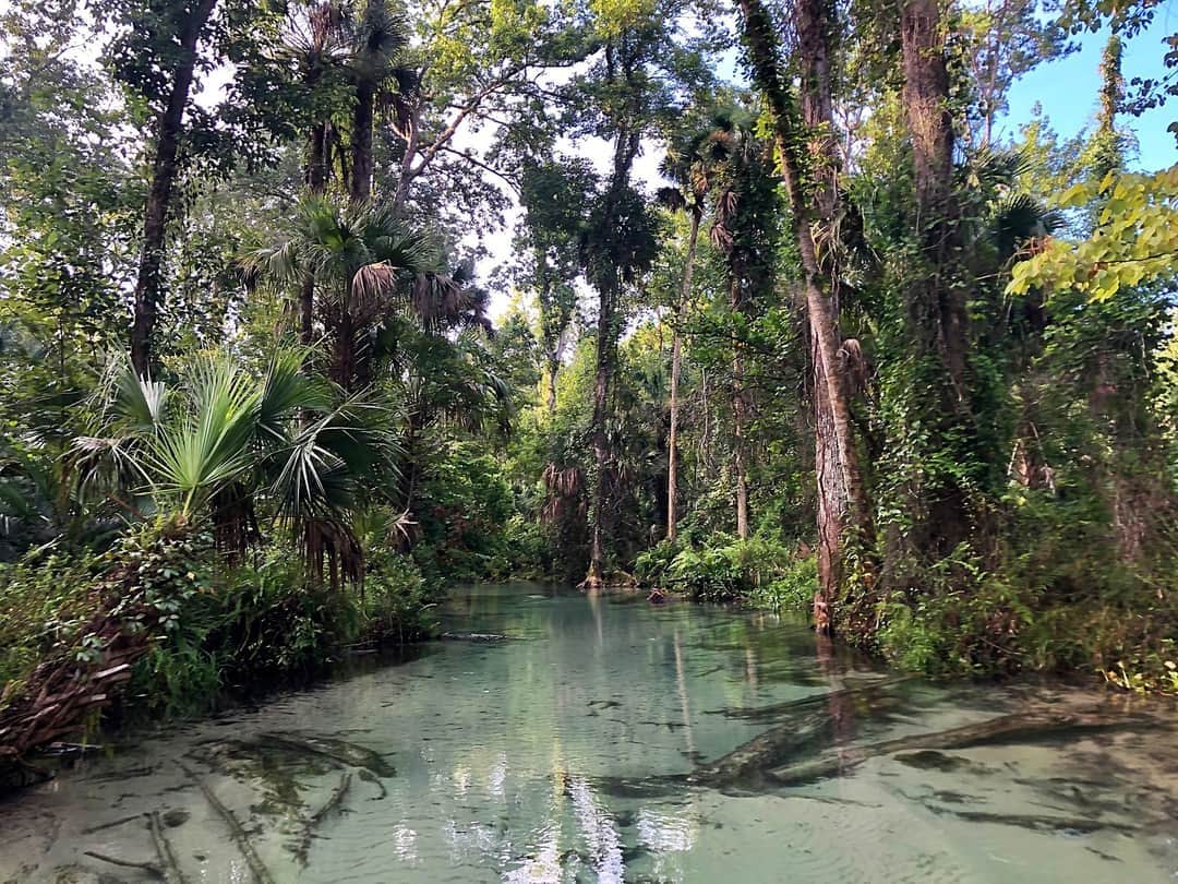 Camper-submitted photo at King's Landing near Orange City, FL