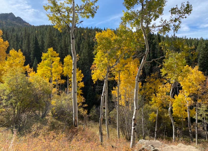 Camper-submitted photo at Deer Creek Campground — Golden Gate Canyon near Eastlake, CO