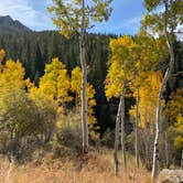 Review photo of Deer Creek Campground — Golden Gate Canyon by Kathy L., January 24, 2021