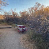 Review photo of South Rim Campground — Black Canyon of the Gunnison National Park by Kathy L., January 24, 2021