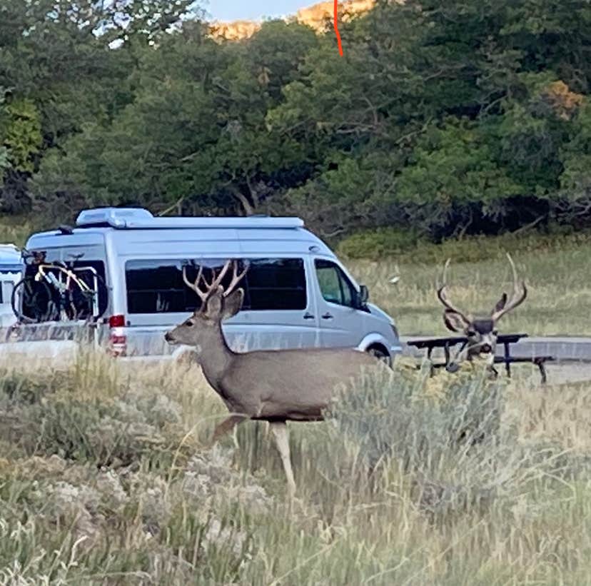 Camper-submitted photo at Morefield Campground — Mesa Verde National Park near Kirtland, NM