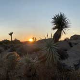Review photo of Jumbo Rocks Campground — Joshua Tree National Park by Kathy L., January 24, 2021