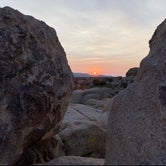 Review photo of Jumbo Rocks Campground — Joshua Tree National Park by Kathy L., January 24, 2021