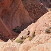 Review photo of Kayenta Campground — Dead Horse Point State Park by Steven M., February 10, 2021