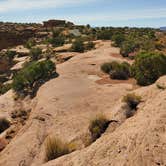 Review photo of Kayenta Campground — Dead Horse Point State Park by Steven M., February 10, 2021