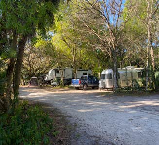 Camper-submitted photo from Flying A Primitive Campsite - Myakka State Park
