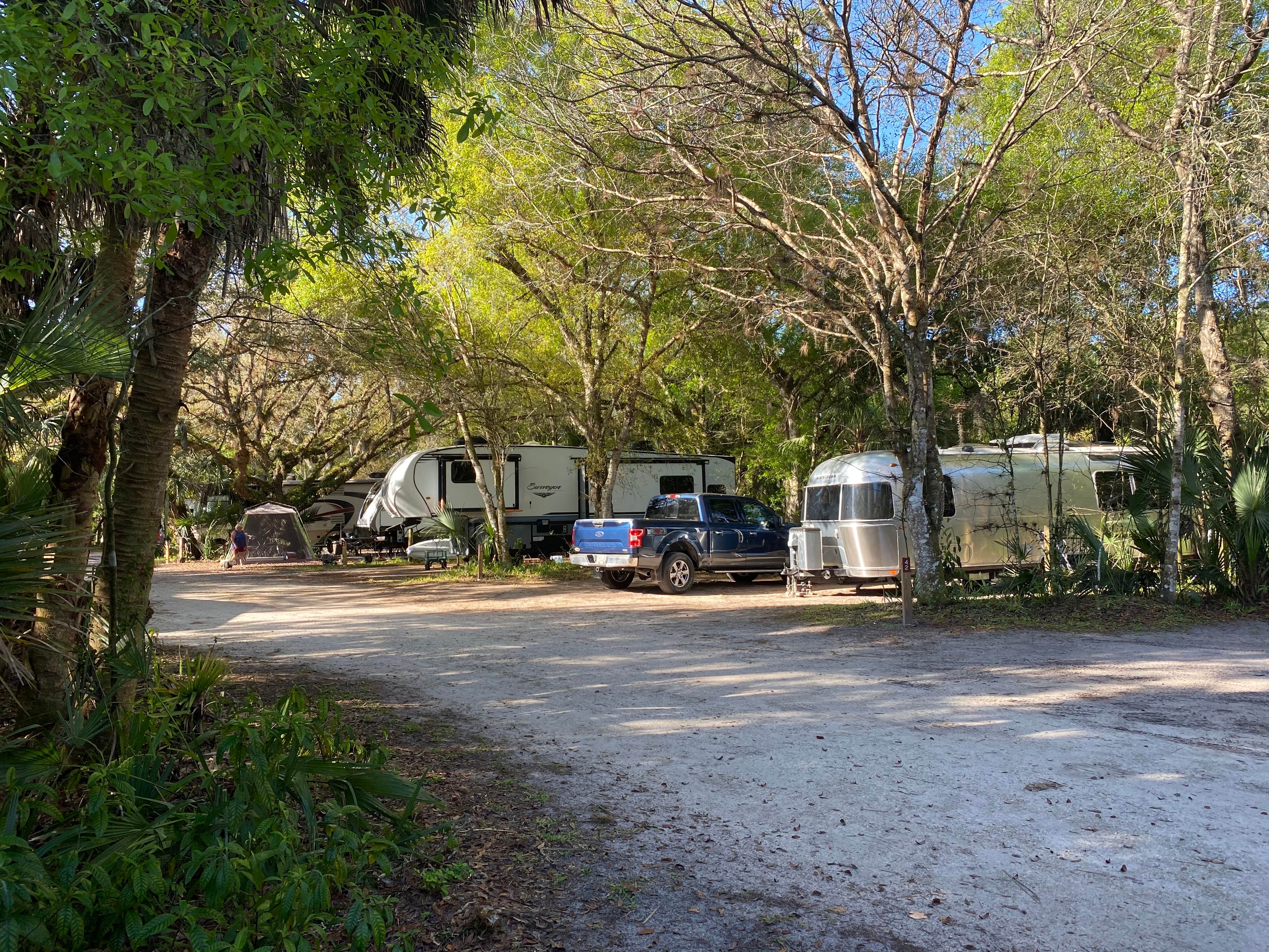 Camper submitted image from Old Prairie Campground — Myakka River State Park - 2