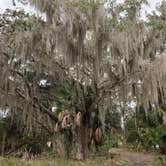 Review photo of Skidaway Island State Park Campground by Kathy L., January 24, 2021