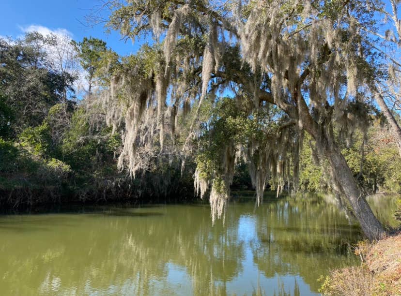 Campground at James Island County Park