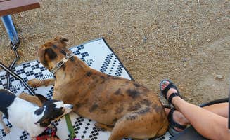 Steven M.'s photo of camping with pets at Castle Gate RV Park in Utah