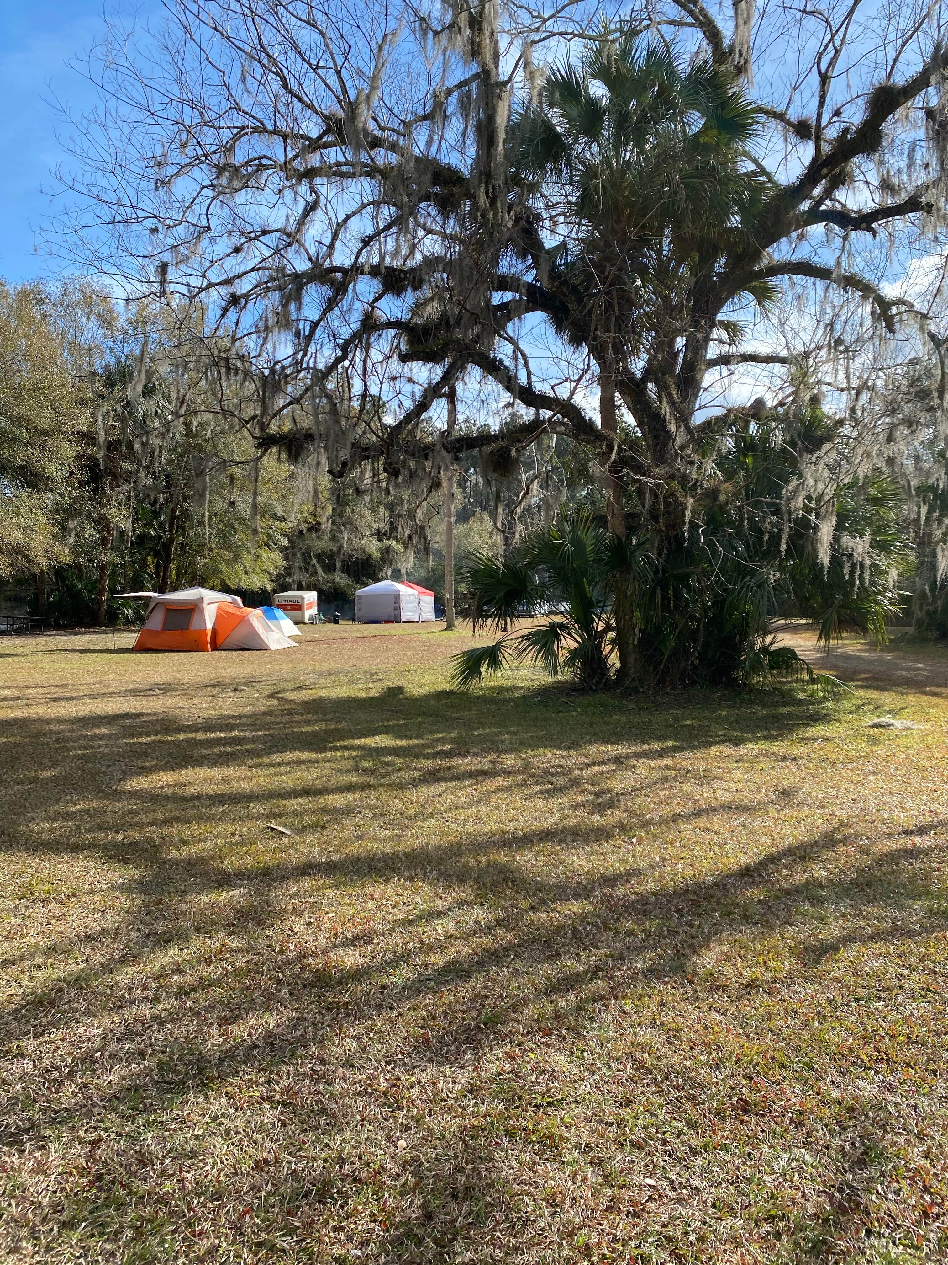 Camper-submitted photo at Potts Preserve near Inverness, FL