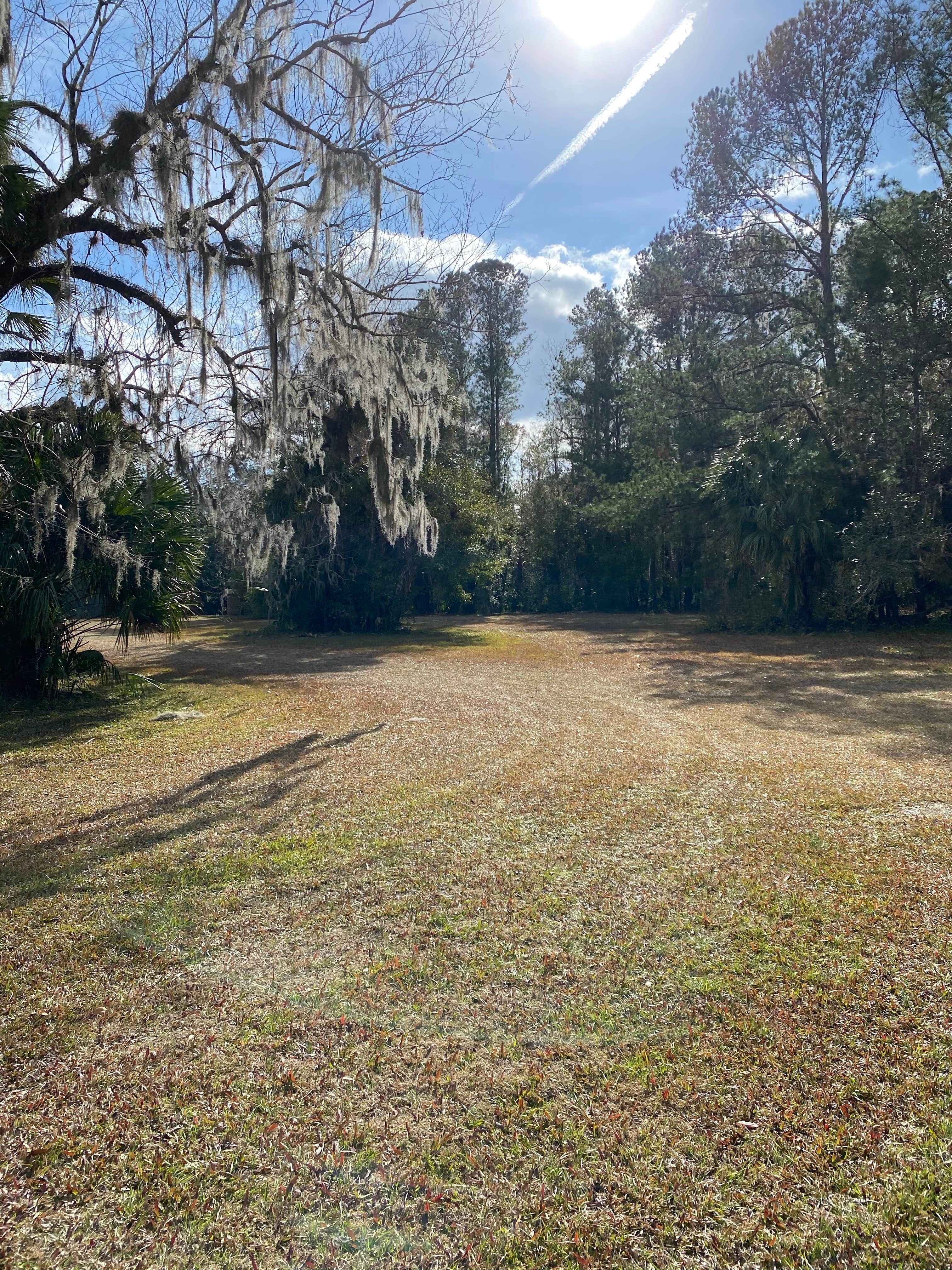 Camping near Riverside Lodge Resort: Potts Preserve, Hernando, Florida