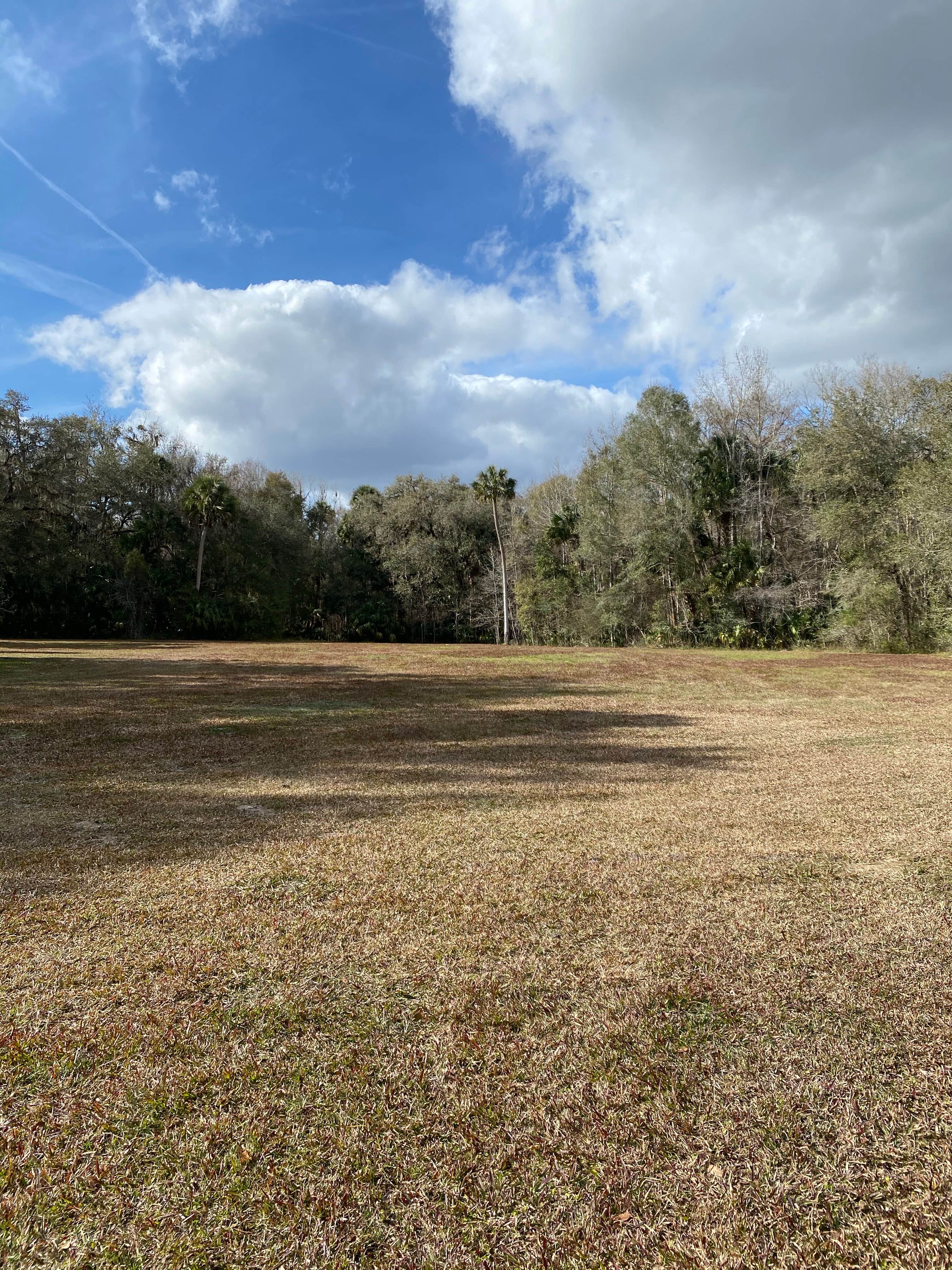Camper-submitted photo at Potts Preserve near Inverness, FL