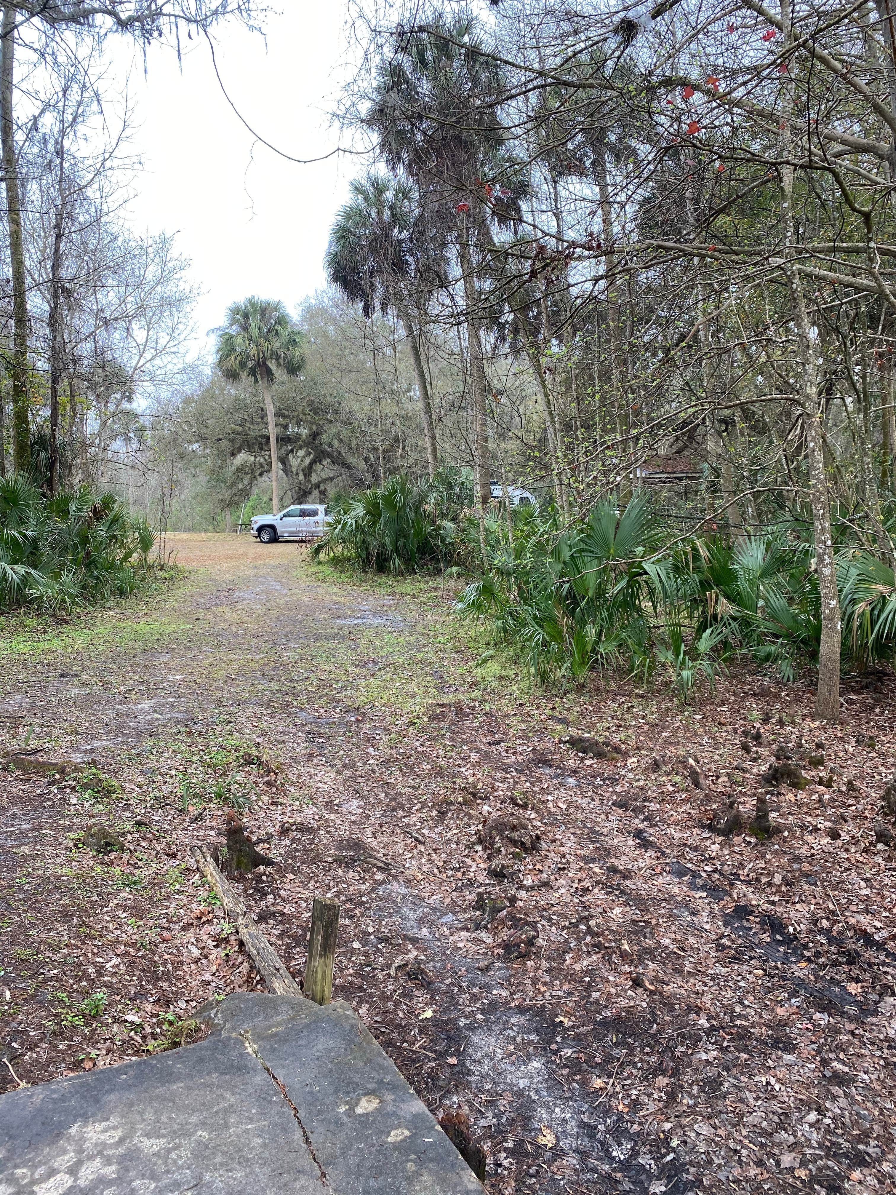 Camper-submitted photo at Potts Preserve near Inverness, FL