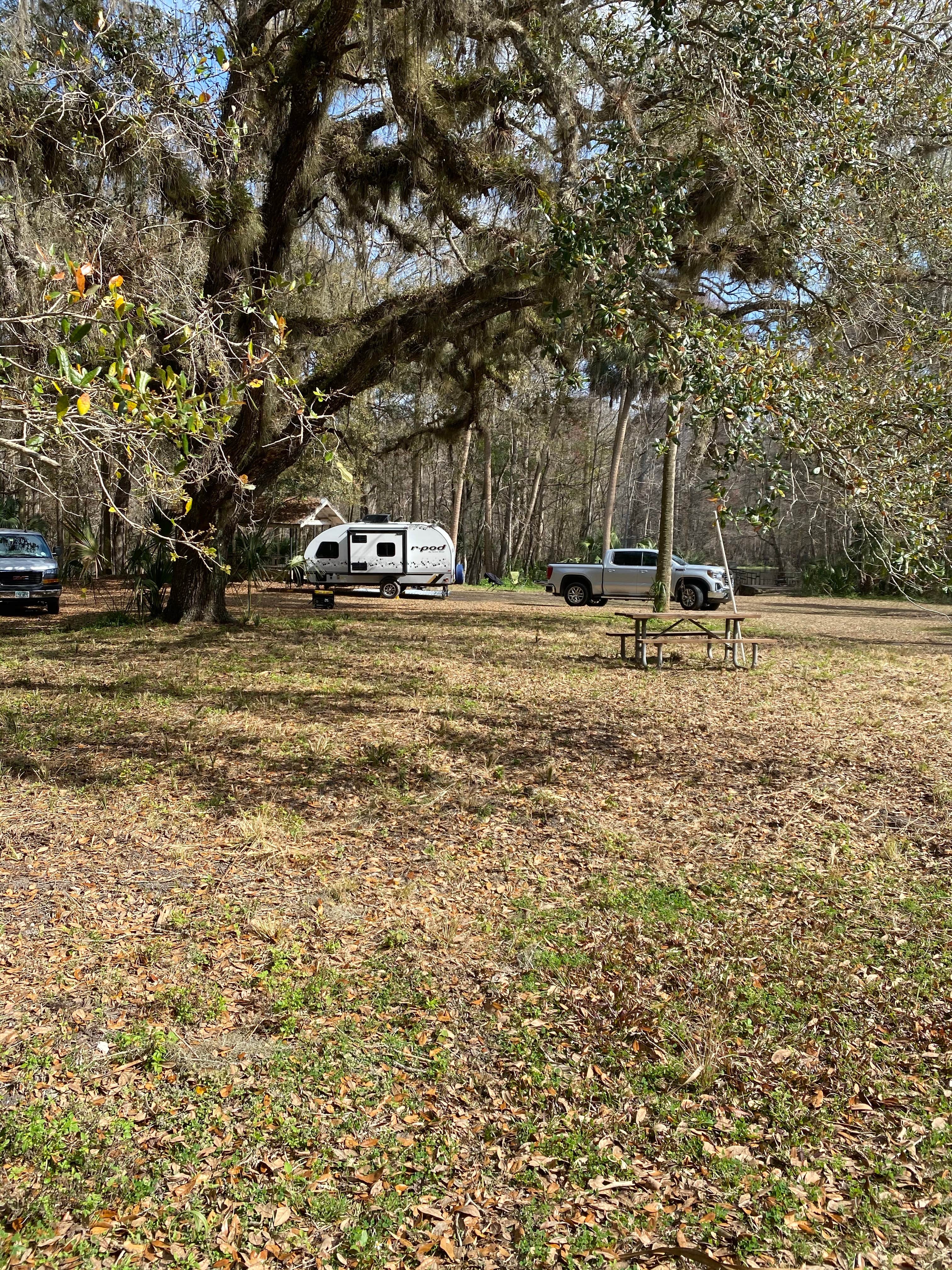 Todd M.'s photo at Potts Preserve near Belleview, FL