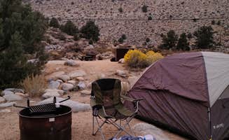 Amber D.'s photo at Bitterbrush Campground near Bishop, CA