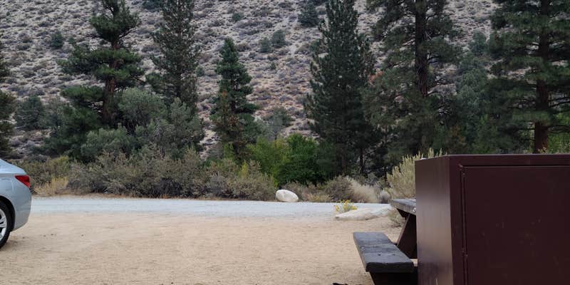 Camper submitted image from Bitterbrush Campground