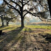 Review photo of Lake Panasoffkee by Abby M., February 10, 2021