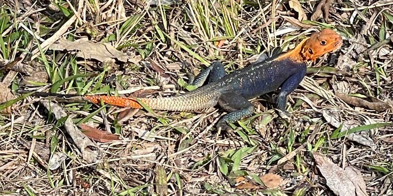 Camper submitted image from DuPuis Campground at Gate 3