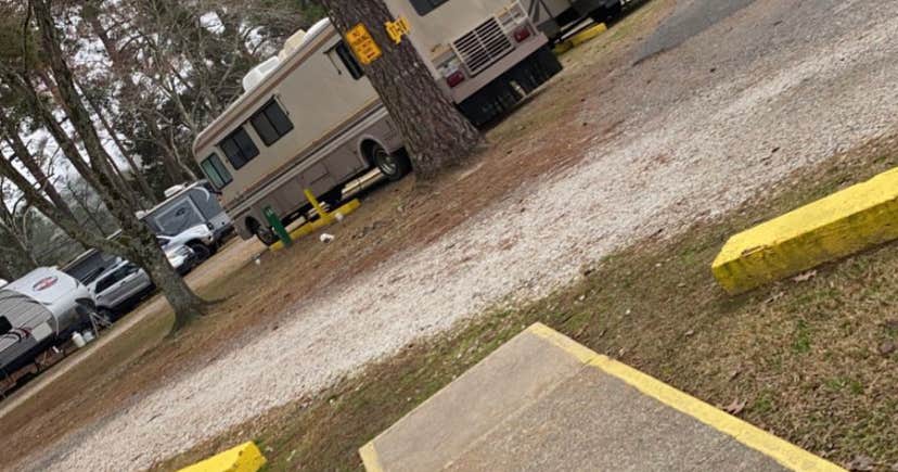 Cypress Black Bayou Recreation Area photo 4