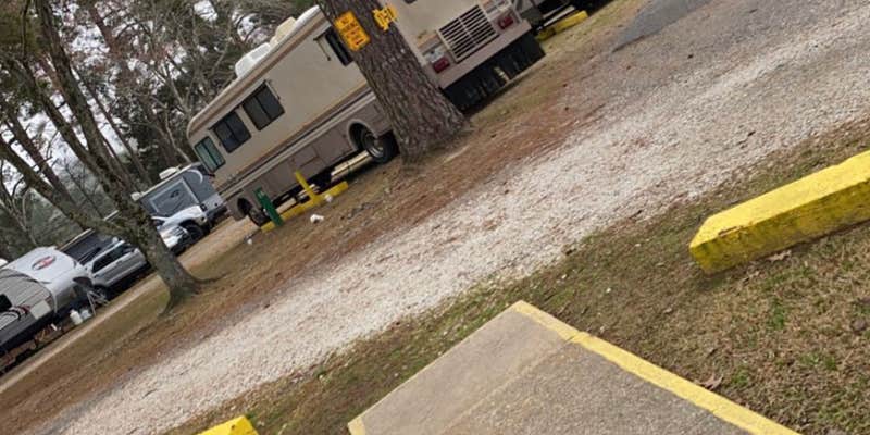 Camper submitted image from Shreveport Bossier City KOA
