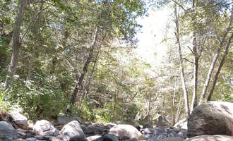 Camping near Woods Valley Kampground: La Jolla Indian Campground, Palomar Mountain, California