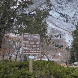 Neffs Canyon Dispersed Site