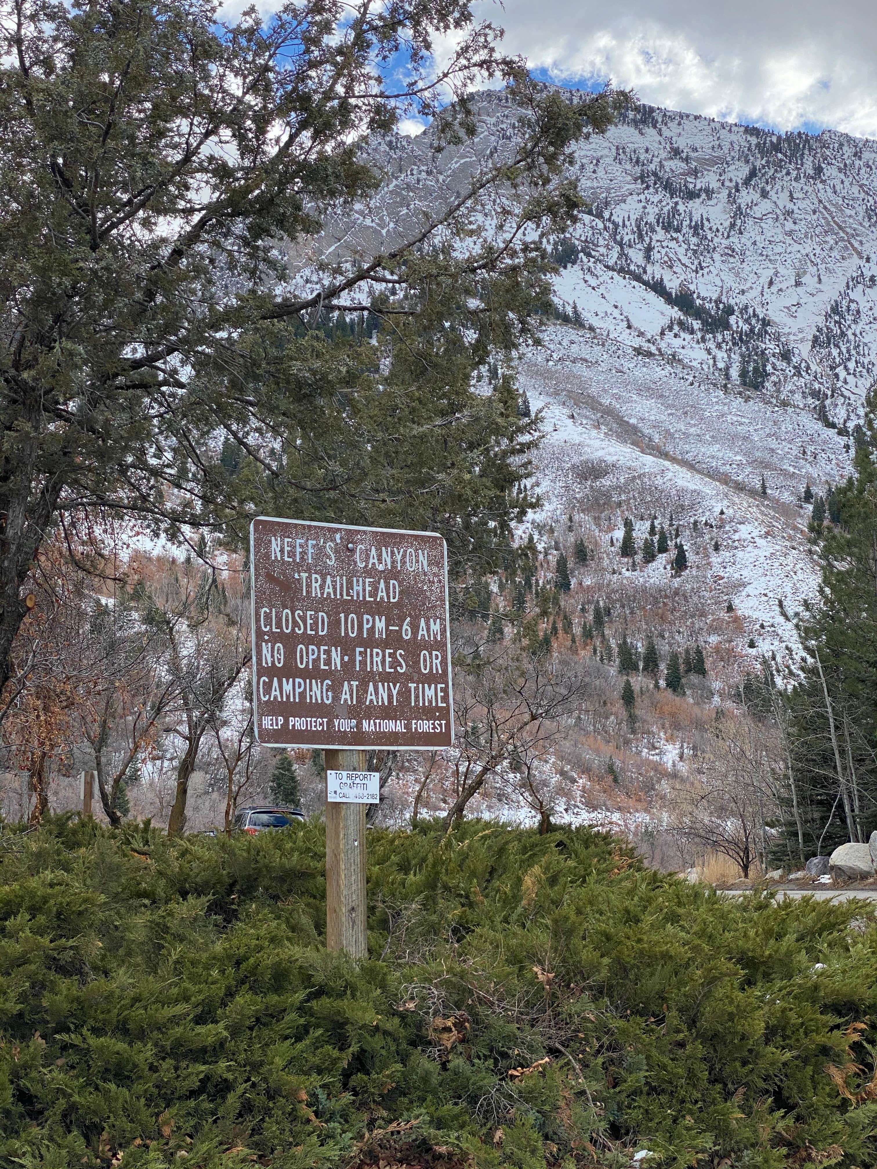 Camper-submitted photo at Neffs Canyon Dispersed Site near Murray, UT
