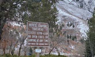 Camping near Salt Lake City KOA: Neffs Canyon Dispersed Site, Millcreek, Utah