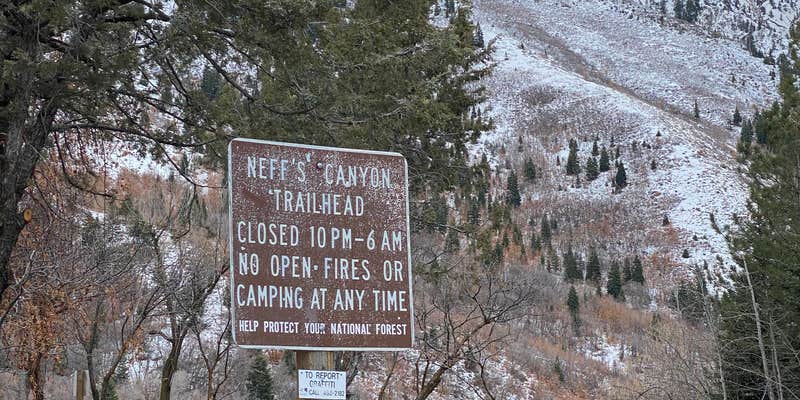 Camper submitted image from Neffs Canyon Dispersed Site