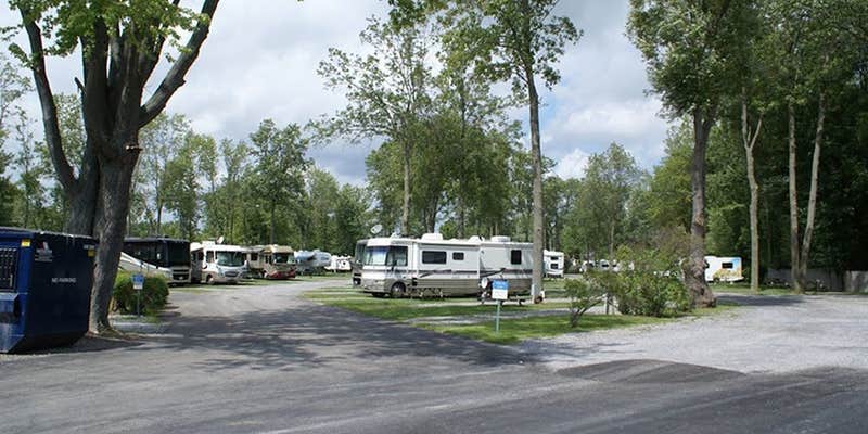 Camper submitted image from Niagara Falls Campground & Lodging