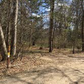 Review photo of Lake Bemidji State Park Campground by Janet R., May 24, 2018