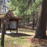 Review photo of Lake Bemidji State Park Campground by Janet R., May 24, 2018