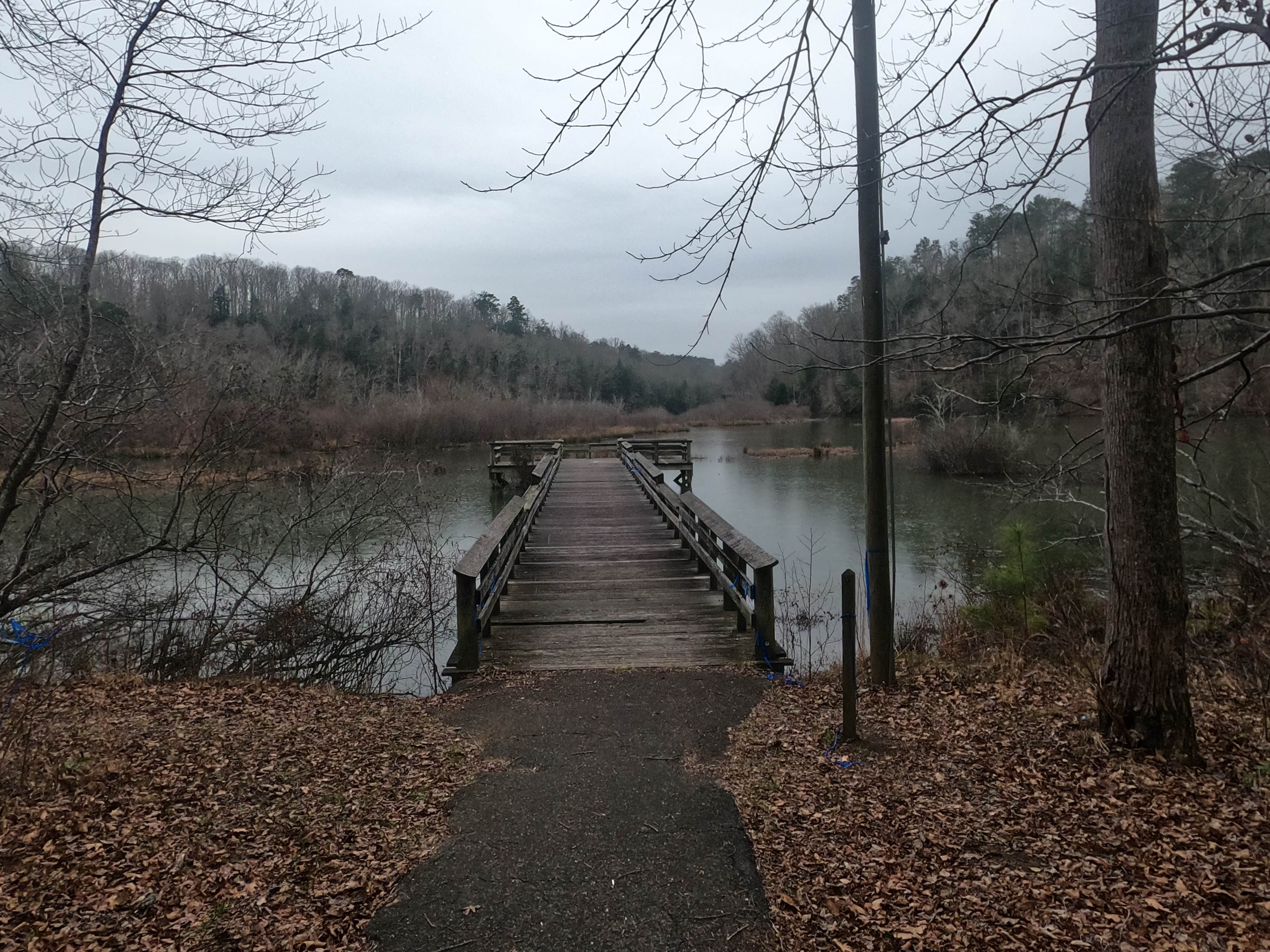 Camper-submitted photo at Brushy Lake Recreation Area near Arley, AL