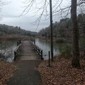 Review photo of Brushy Lake Recreation Area by Gregg G., January 29, 2021