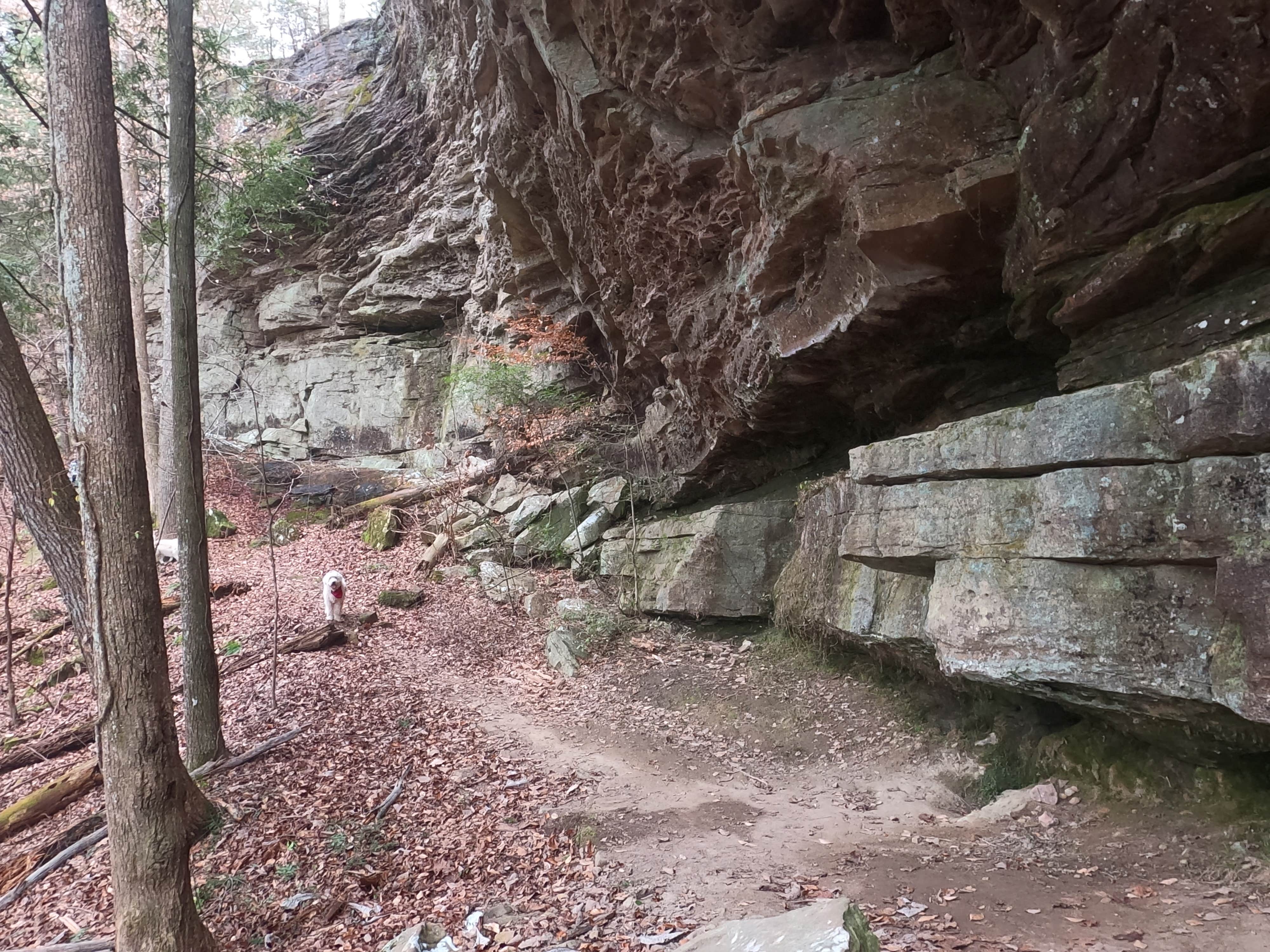 Camper-submitted photo at Brushy Lake Recreation Area near Arley, AL