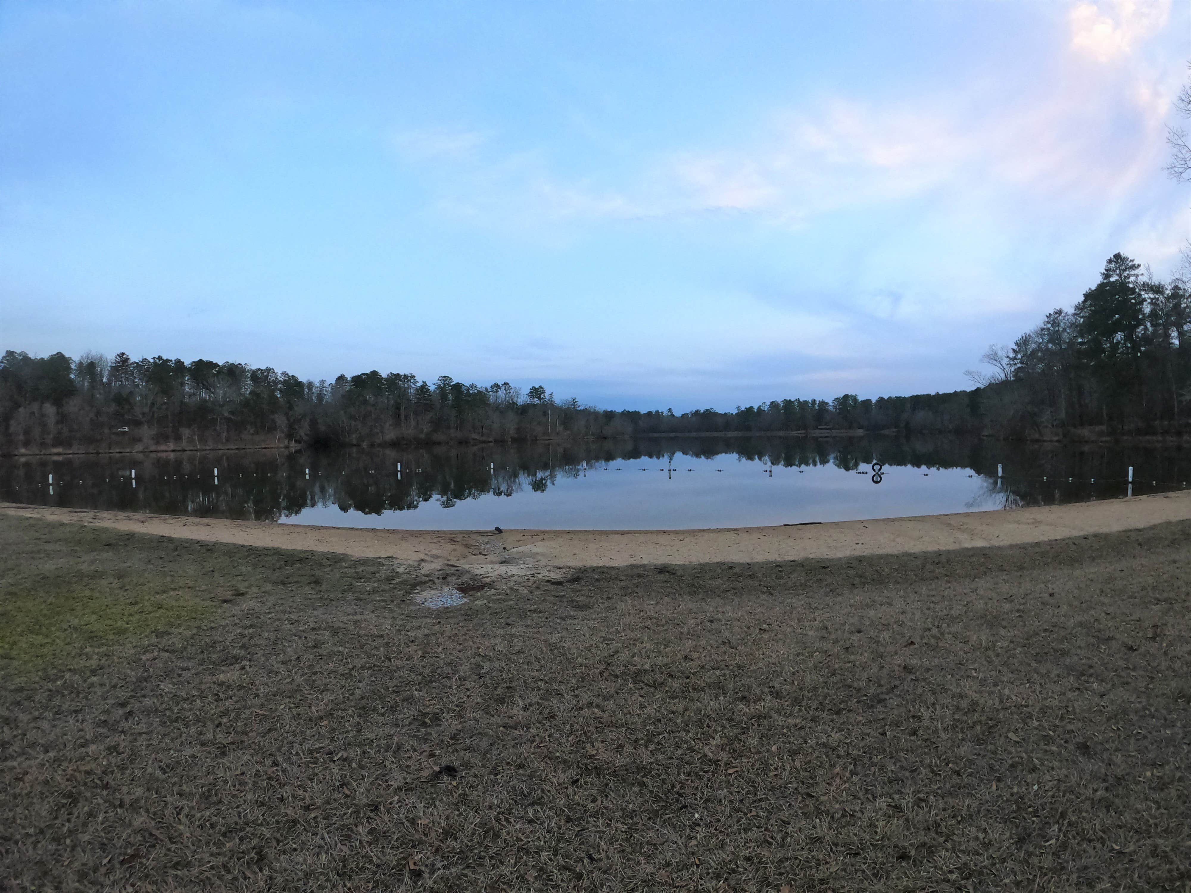 Camper submitted image from Payne Lake East Side - 4