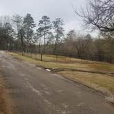 Review photo of Noccalula Falls Park & Campground - TEMPORARILY CLOSED by Gregg G., February 11, 2021