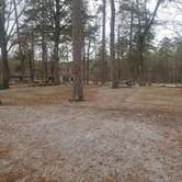 Review photo of Noccalula Falls Park & Campground - TEMPORARILY CLOSED by Gregg G., February 11, 2021