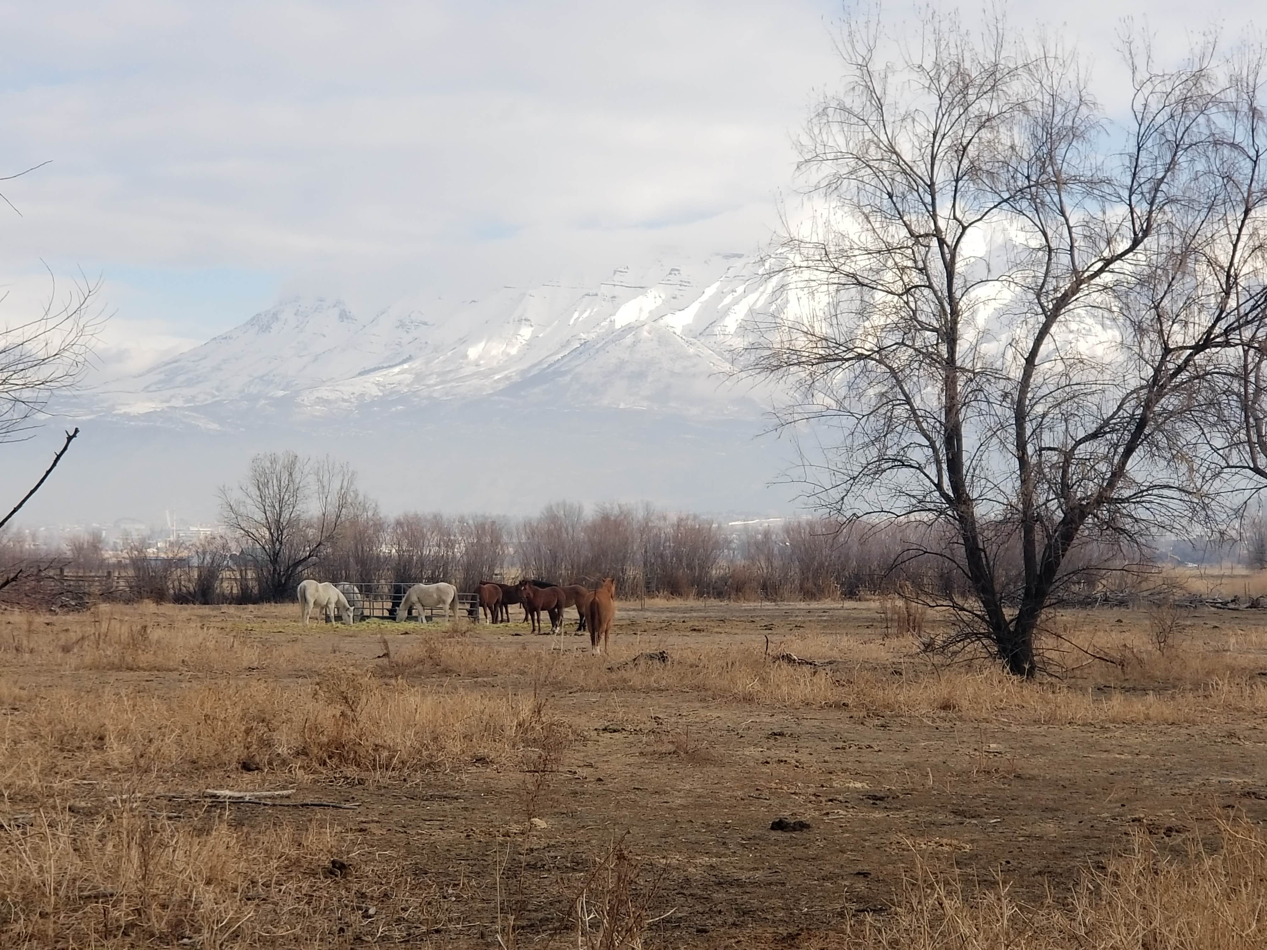 View All